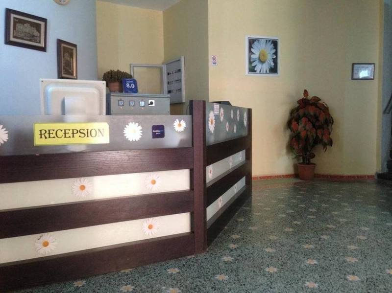 Hotel Kamomil Škalngur المظهر الخارجي الصورة