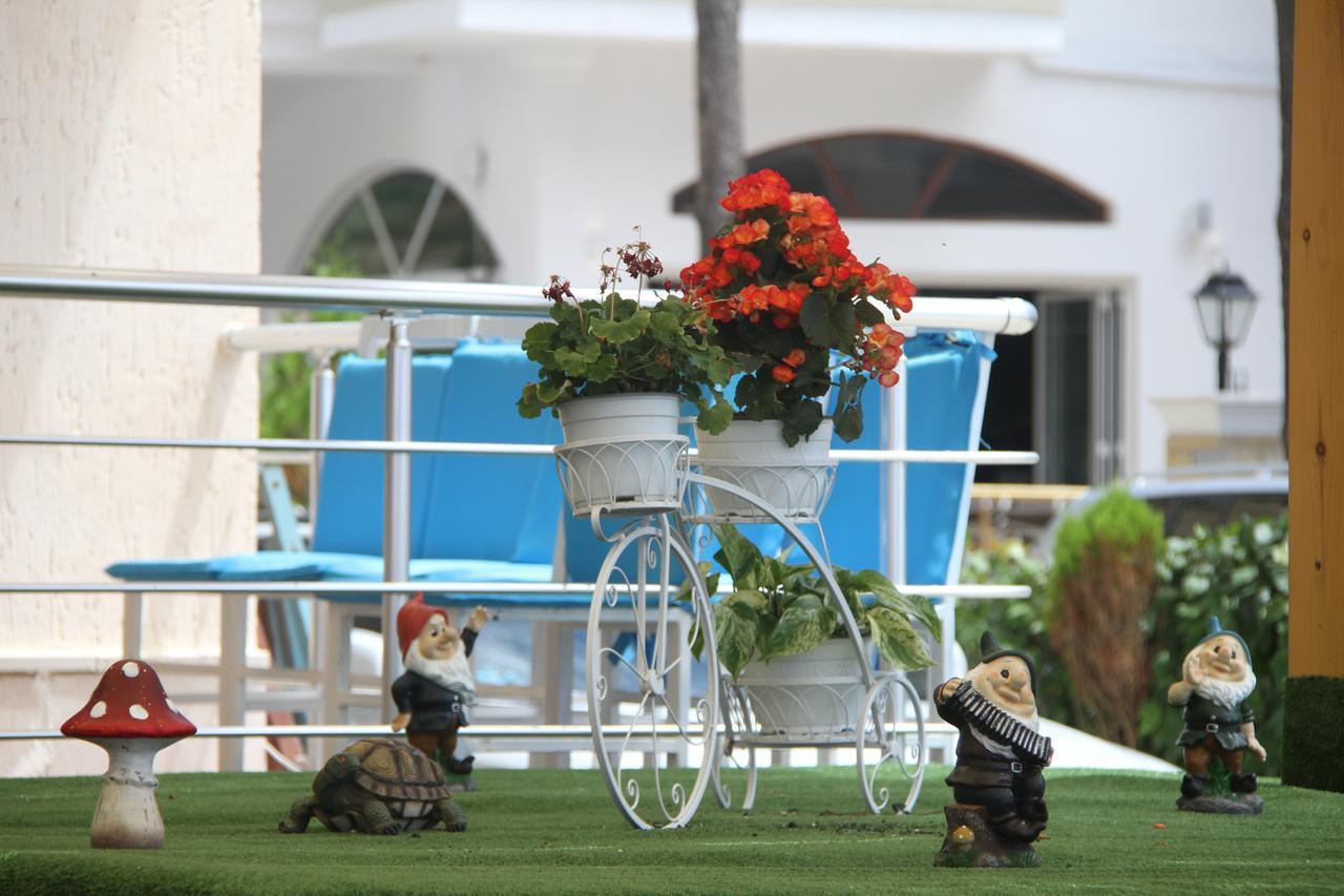 Hotel Kamomil Škalngur المظهر الخارجي الصورة
